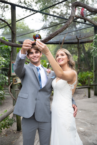 BrideAndGroomAnimalEncounter