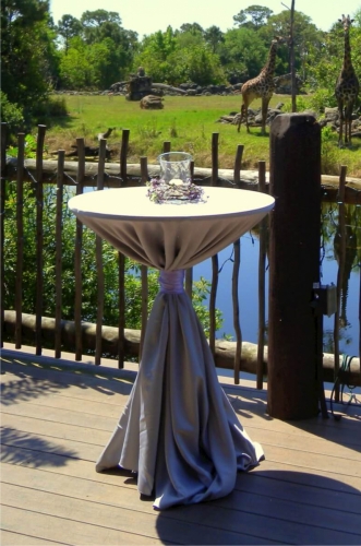 Celebration-Table-Outlooking-Giraffe