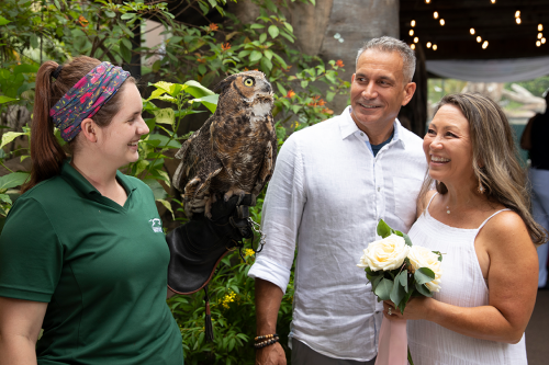 WeddingAnimalEncounter